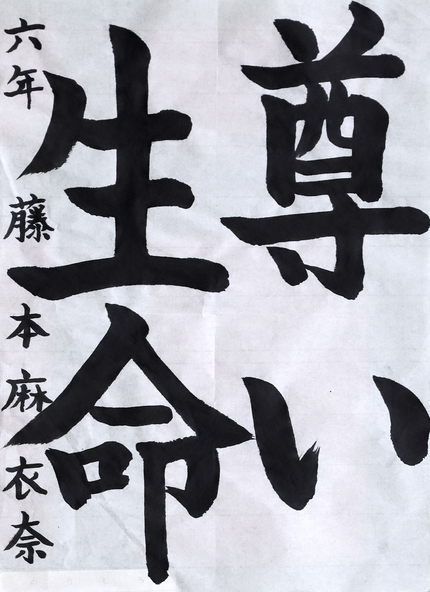 藤本 麻衣奈さん